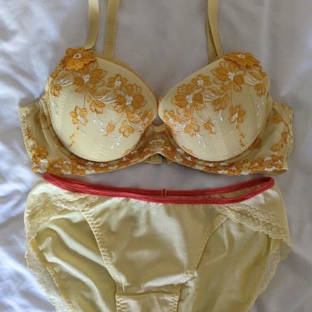 New without Tag - Vintage Triumph Embroidered Push Up Bra C70/32B and Undie Set